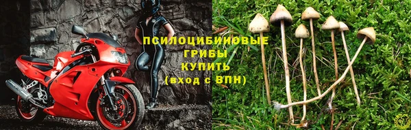 кокаин перу Алзамай