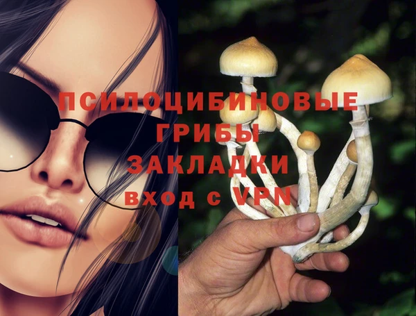 2c-b Арсеньев